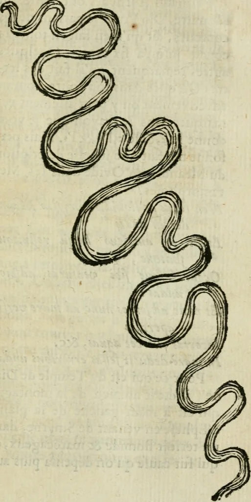 An illustration from Voyage d'Italie, de Dalmatie, de Grece, et du Levant : fait és années 1675 & 1676, 1678, leaf 378