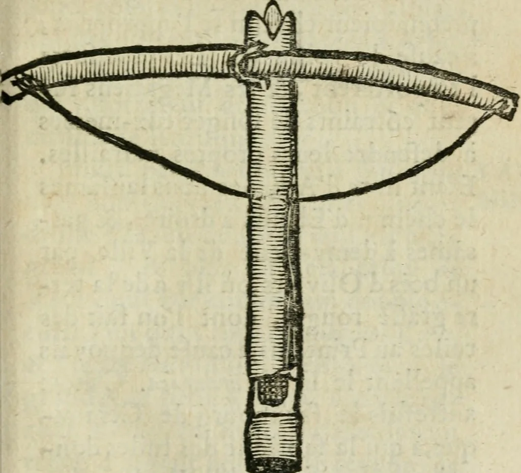 An illustration from Voyage d'Italie, de Dalmatie, de Grece, et du Levant : fait és années 1675 & 1676, 1678, leaf 282