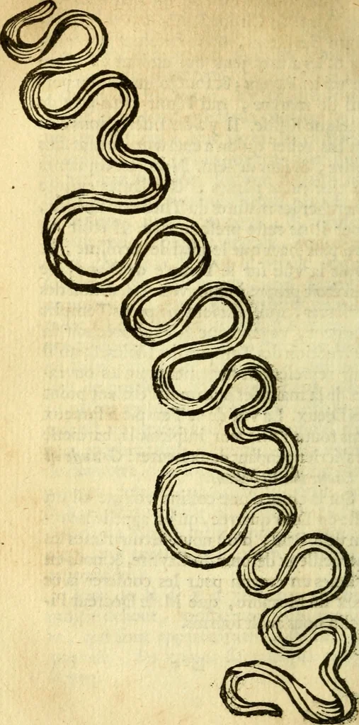 An illustration from Voyage d'Italie, de Dalmatie, de Grece, et du Levant : fait aux années 1675. & 1676., 1679, leaf 295