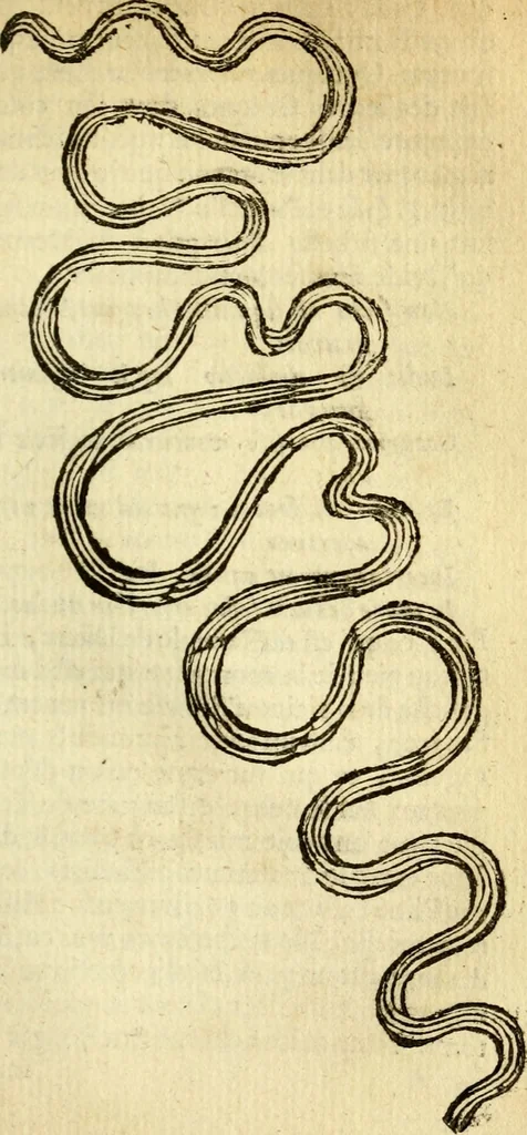 An illustration from Voyage d'Italie, de Dalmatie, de Grece, et du Levant : fait aux années 1675. & 1676., 1679, leaf 296