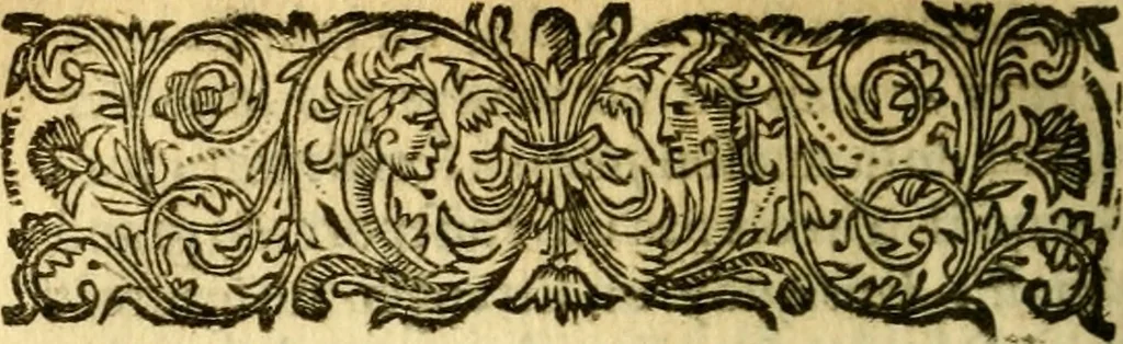 An illustration from Voyage d'Italie, de Dalmatie, de Grece, et du Levant : fait aux années 1675. & 1676., 1679, leaf 343