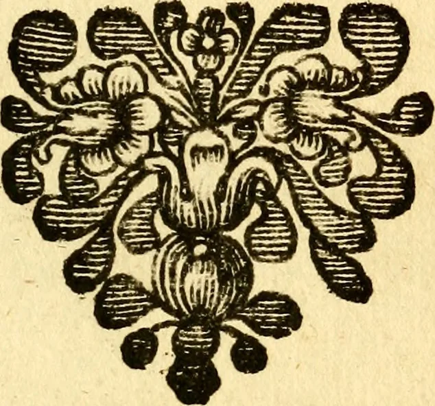 An illustration from Voyage d'Italie, de Dalmatie, de Grece, et du Levant : fait aux années 1675. & 1676., 1679, leaf 534