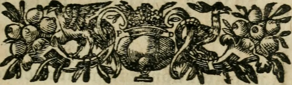 An illustration from Voyage d'Italie, de Dalmatie, de Grece, et du Levant : fait és années 1675 & 1676, 1678, leaf 14
