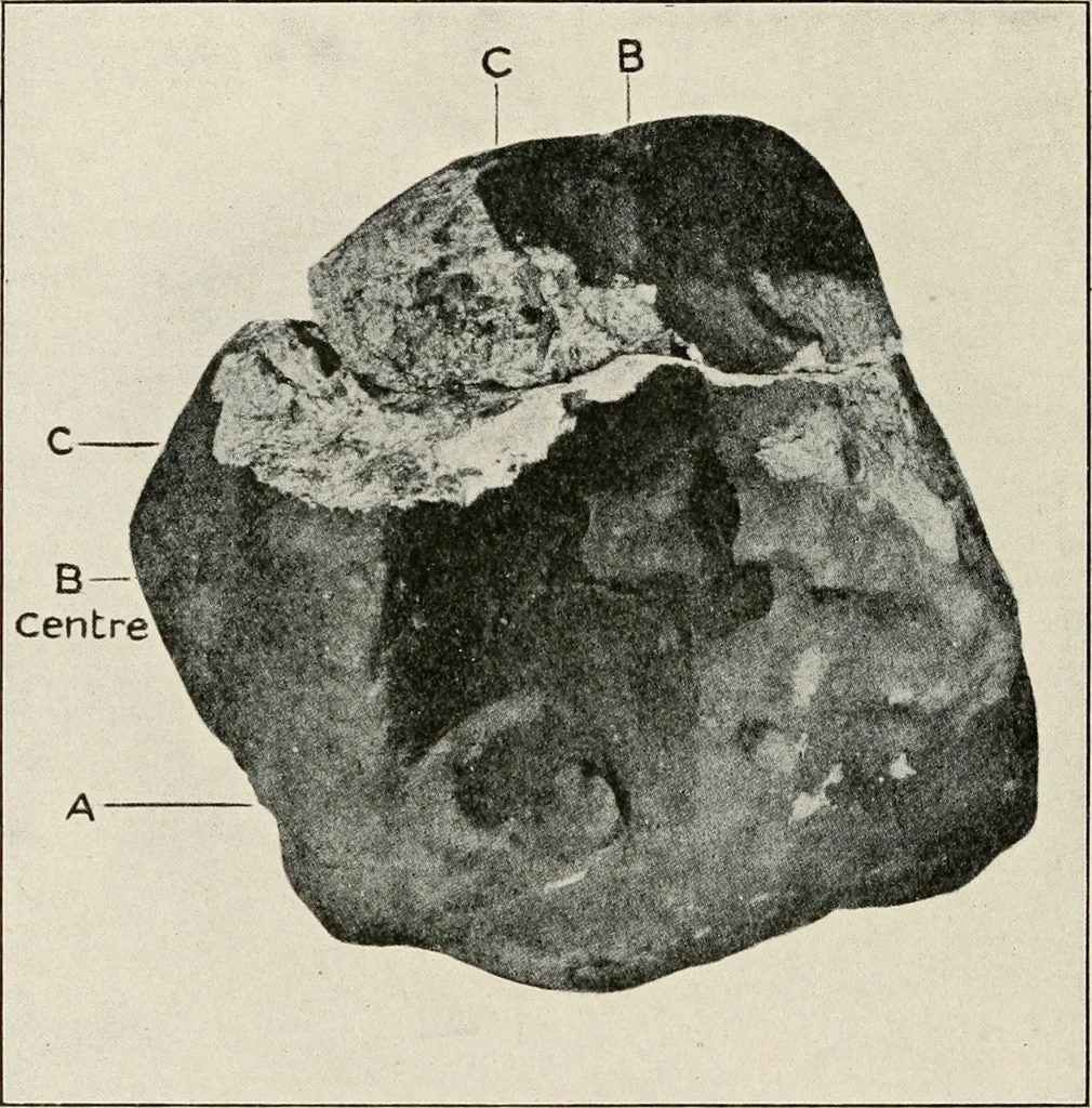 An illustration from A voyage in space; a course of six lectures "adapted to a juvenile auditory" delivered at the Royal Institution at Xmas 1913, 1915, leaf 105