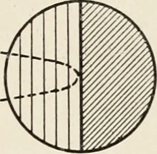 An illustration from A voyage in space; a course of six lectures "adapted to a juvenile auditory" delivered at the Royal Institution at Xmas 1913, 1915, leaf 158