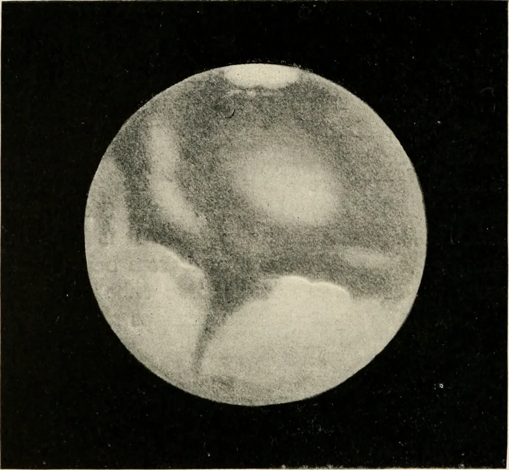 An illustration from A voyage in space; a course of six lectures "adapted to a juvenile auditory" delivered at the Royal Institution at Xmas 1913, 1915, leaf 159