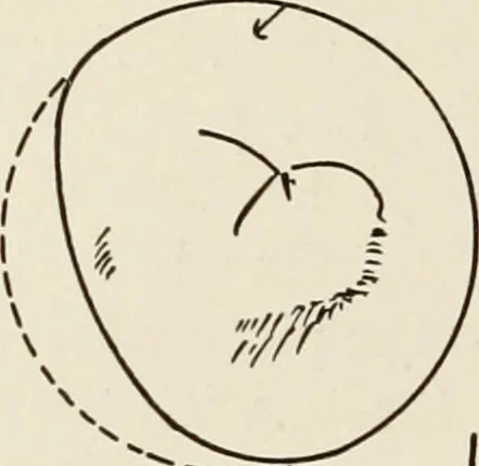 An illustration from A voyage in space; a course of six lectures "adapted to a juvenile auditory" delivered at the Royal Institution at Xmas 1913, 1915, leaf 165