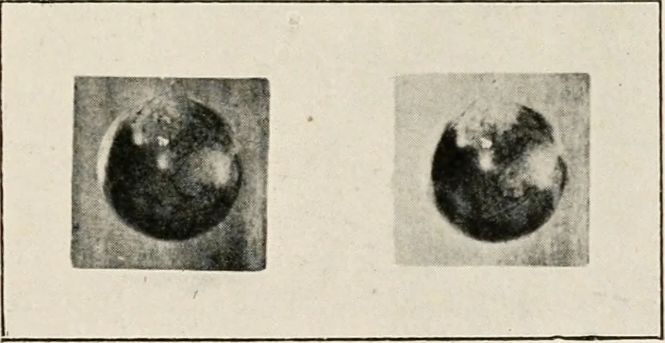 An illustration from A voyage in space; a course of six lectures "adapted to a juvenile auditory" delivered at the Royal Institution at Xmas 1913, 1915, leaf 166