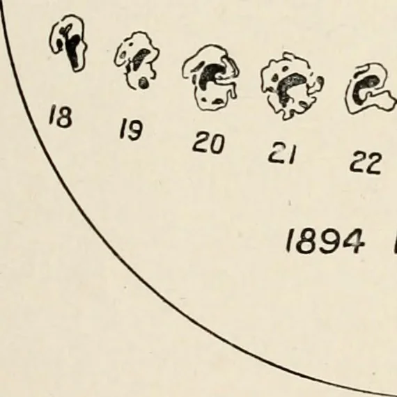 An illustration from A voyage in space; a course of six lectures "adapted to a juvenile auditory" delivered at the Royal Institution at Xmas 1913, 1915, leaf 218