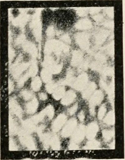 An illustration from A voyage in space; a course of six lectures "adapted to a juvenile auditory" delivered at the Royal Institution at Xmas 1913, 1915, leaf 236