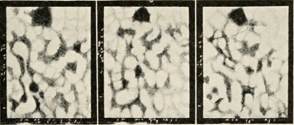 An illustration from A voyage in space; a course of six lectures "adapted to a juvenile auditory" delivered at the Royal Institution at Xmas 1913, 1915, leaf 236