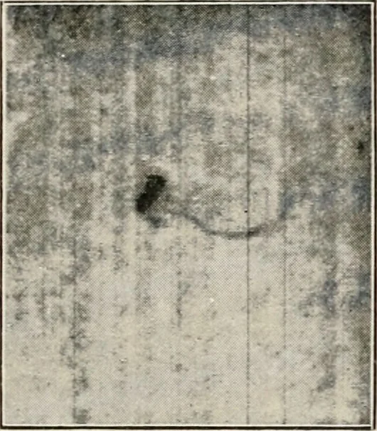 An illustration from A voyage in space; a course of six lectures "adapted to a juvenile auditory" delivered at the Royal Institution at Xmas 1913, 1915, leaf 244