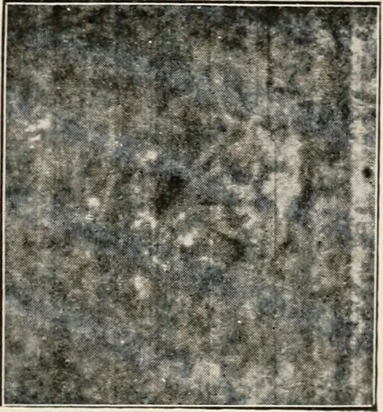 An illustration from A voyage in space; a course of six lectures "adapted to a juvenile auditory" delivered at the Royal Institution at Xmas 1913, 1915, leaf 244