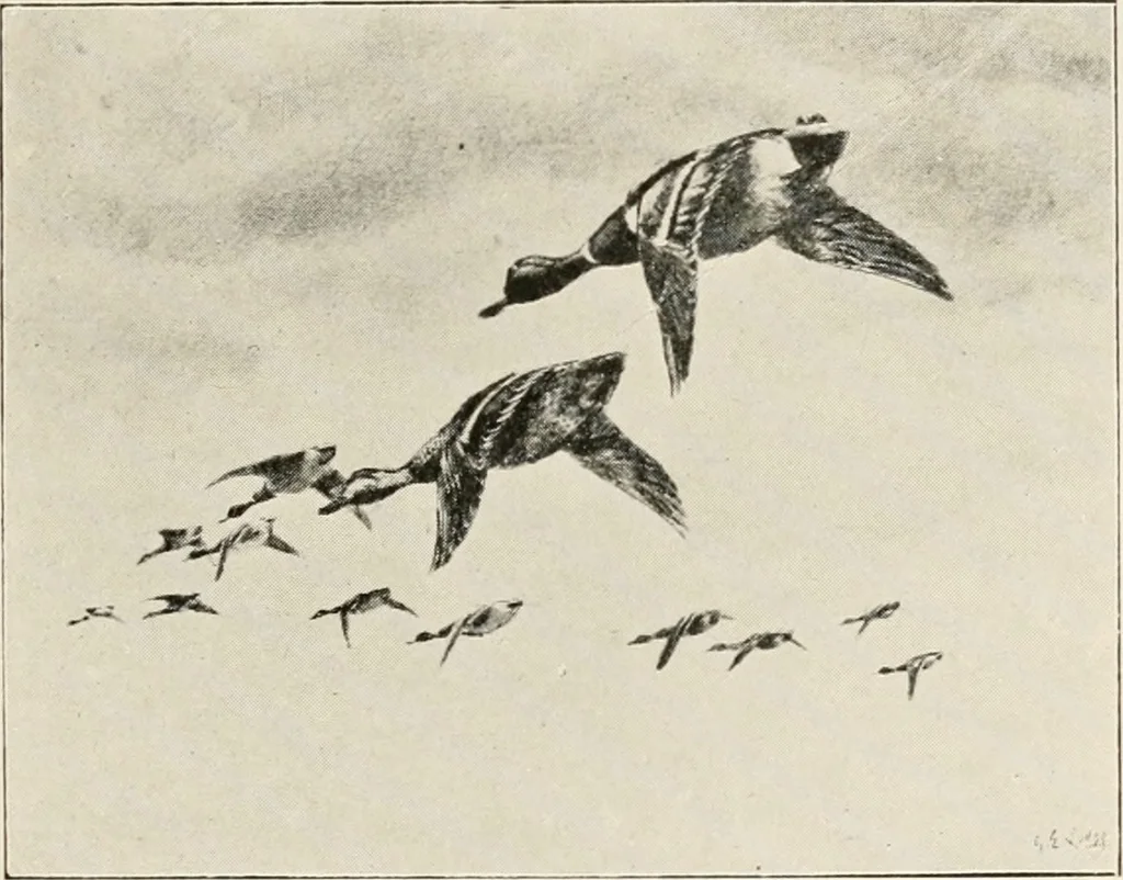 An illustration from A voyage in space; a course of six lectures "adapted to a juvenile auditory" delivered at the Royal Institution at Xmas 1913, 1915, leaf 304