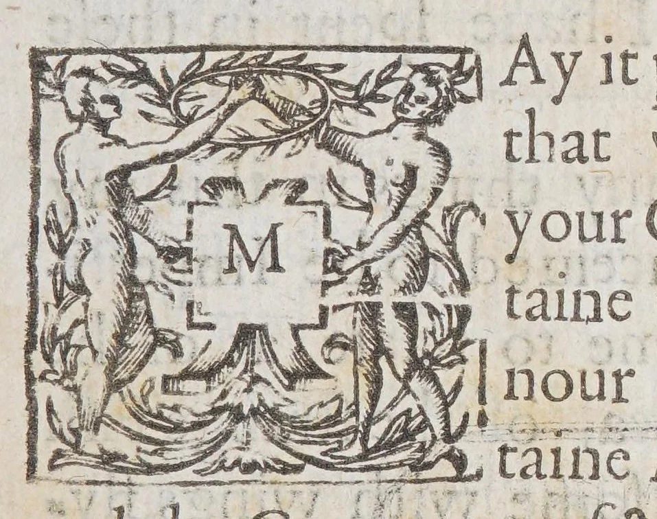 An illustration from A voyage into New England begun in 1623. and ended in 1624., 1628, leaf 9