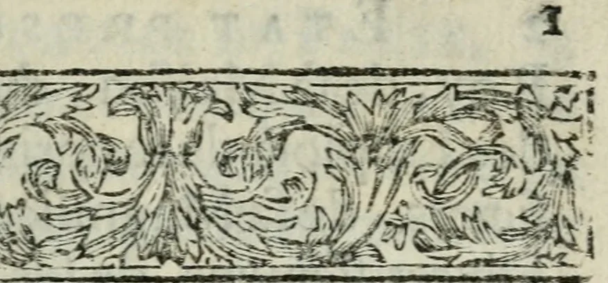 An illustration from Voyage, ou relation de l'etat present du royaume de Perse. Avec une dissertation curieuse sur les moeurs, religion & gouvernement de cet etat. Enrichi de figures, 1695, leaf 18
