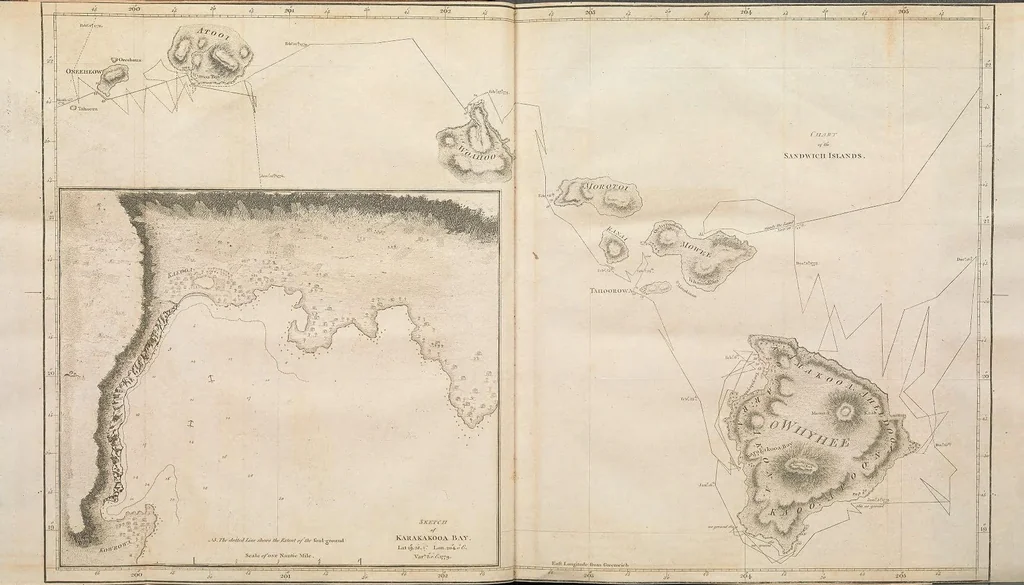 An illustration from A voyage to the Pacific Ocean : undertaken, by the command of His Majesty, for making discoveries in the northern hemisphere : performed under the direction of Captains Cook, Clerke, and Gore, in His Majesty's ships the Resolution and Discovery; in the years 1776, 1777, 1778, 1779, and 1780 : in three volumes, 1785, leaf 21