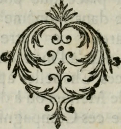 An illustration from Voyage pittoresque de la Flandre et du Brabant : avec des réflexions relativement aux arts & quelques gravures, 1769, leaf 23