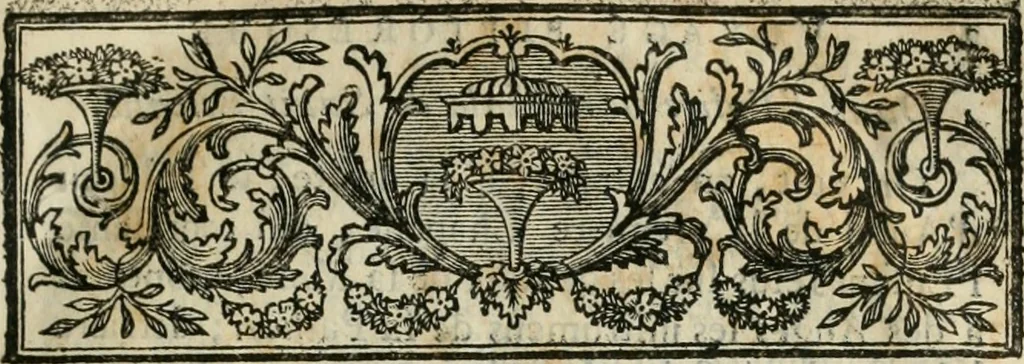 An illustration from Voyage pittoresque de la Flandre et du Brabant : avec des réflexions relativement aux arts & quelques gravures, 1769, leaf 26