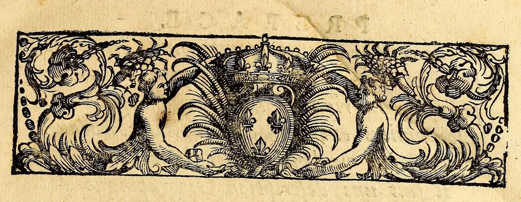 An illustration from Voyages, 1684, leaf 13