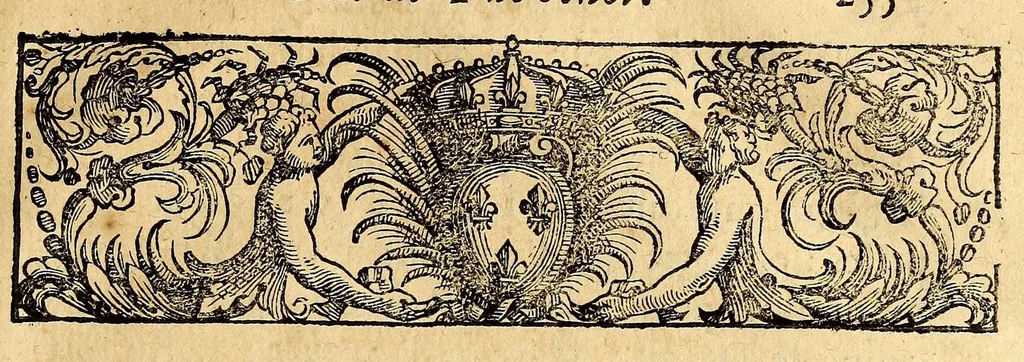 An illustration from Voyages, 1684, leaf 283