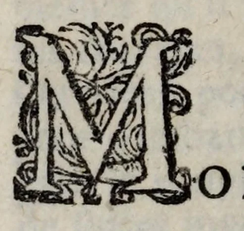 An illustration from Voyages de Mr. du Mont en France, en Italie, en Allemagne, à Malthe, et en Turquie : contenant les recherches & observations curieuses qu'il a faites en tous ces païs, tant sur les moeurs, les coûtumes des peuples, leurs différens gouvernemens & leurs religions, que sur l'histoire ancienne et moderne, la philosophie & les monumens antiques : le tout enrichi de figures, 1699, leaf 256