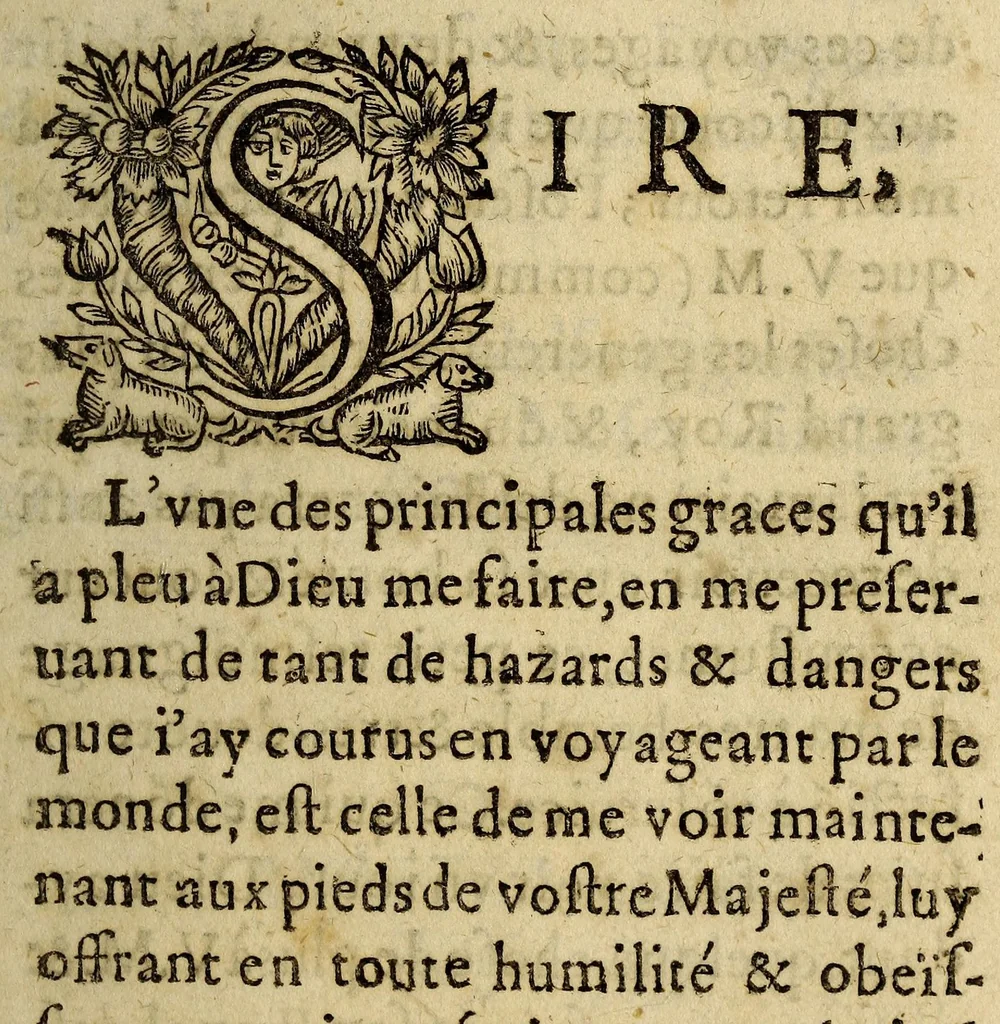 An illustration from Voyages en Afrique, Asie, Indes orientales et occidentales., 1665, leaf 7
