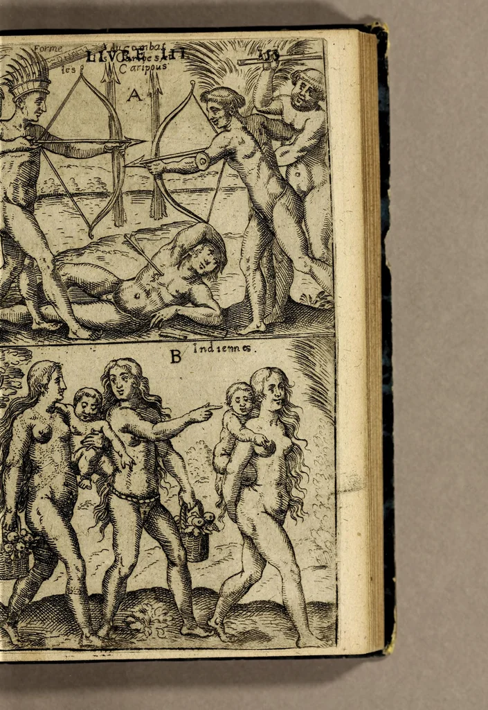 An illustration from Voyages en Afrique, Asie, Indes orientales et occidentales., 1645, leaf 169