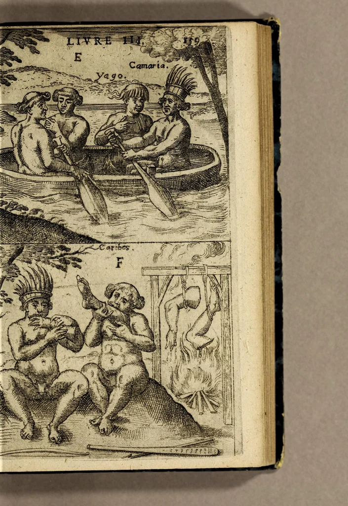 An illustration from Voyages en Afrique, Asie, Indes orientales et occidentales., 1645, leaf 173