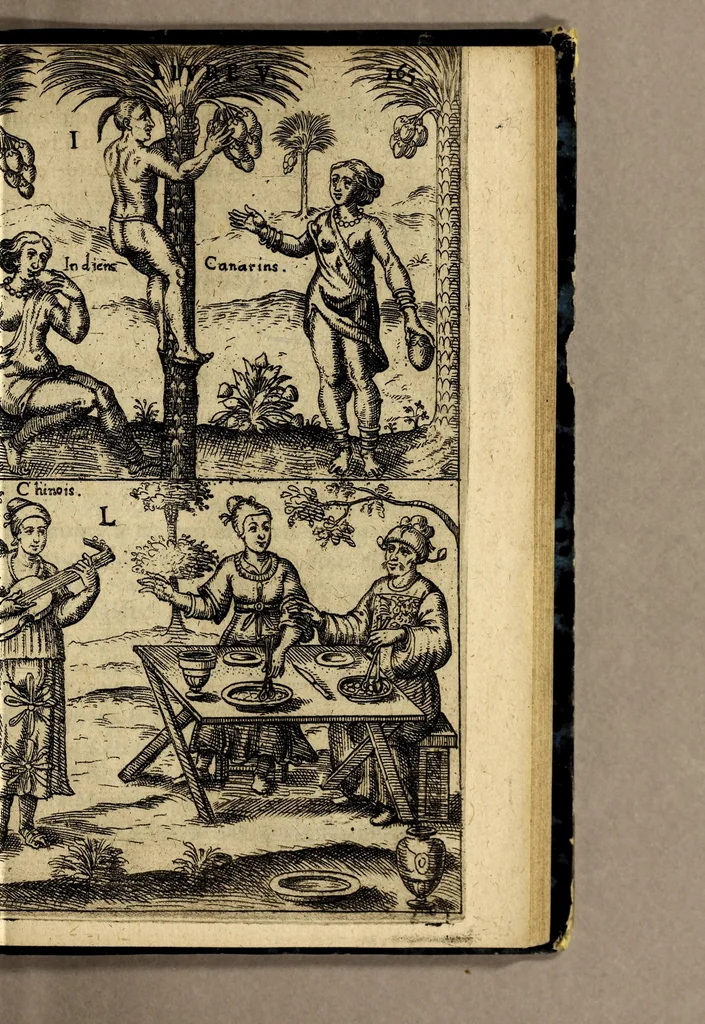 An illustration from Voyages en Afrique, Asie, Indes orientales et occidentales., 1645, leaf 383