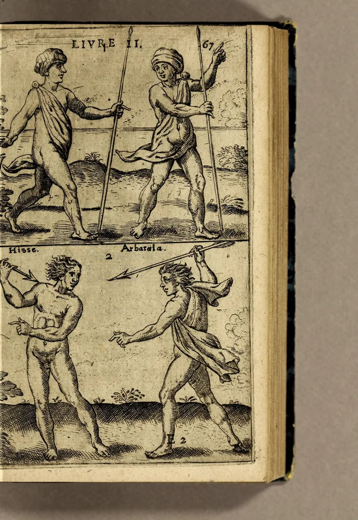 An illustration from Voyages en Afrique, Asie, Indes orientales et occidentales., 1645, leaf 81