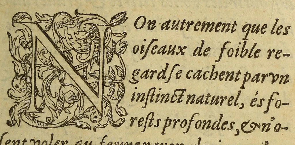 An illustration from Voyages et conquestes du Capitaine Ferdinand Courtois, és Indes Occidentales. : histoire, 1588, leaf 13