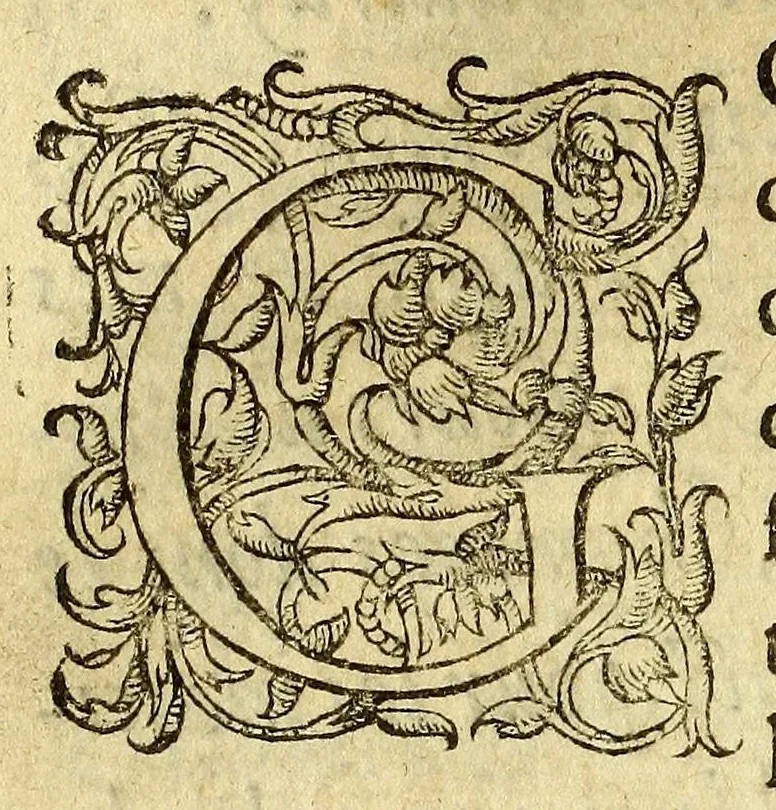 An illustration from Voyages et conquestes du Capitaine Ferdinand Courtois, és Indes Occidentales. : histoire, 1588, leaf 18