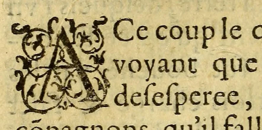 An illustration from Voyages et conquestes du Capitaine Ferdinand Courtois, és Indes Occidentales. : histoire, 1588, leaf 526