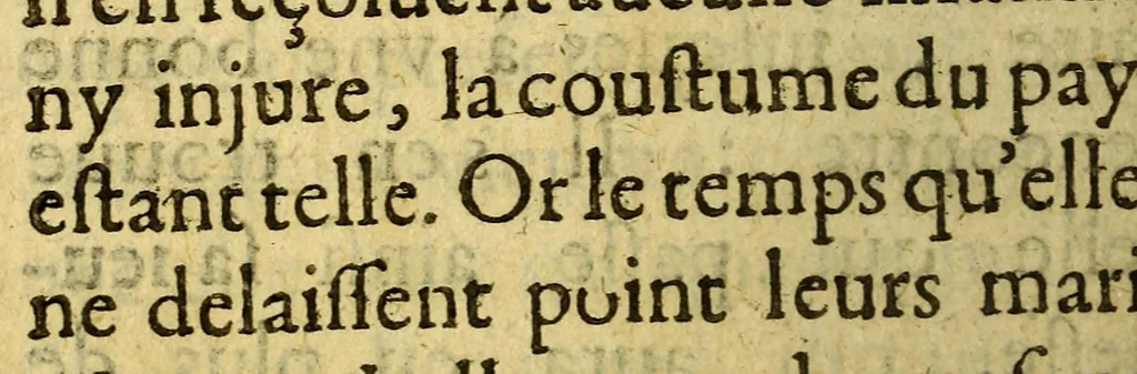 An illustration from Voyages et descouuertures faites en la Nouuelle France, depuis l'année 1615. iusques à la fin de l'année 1618., 1620, leaf 206