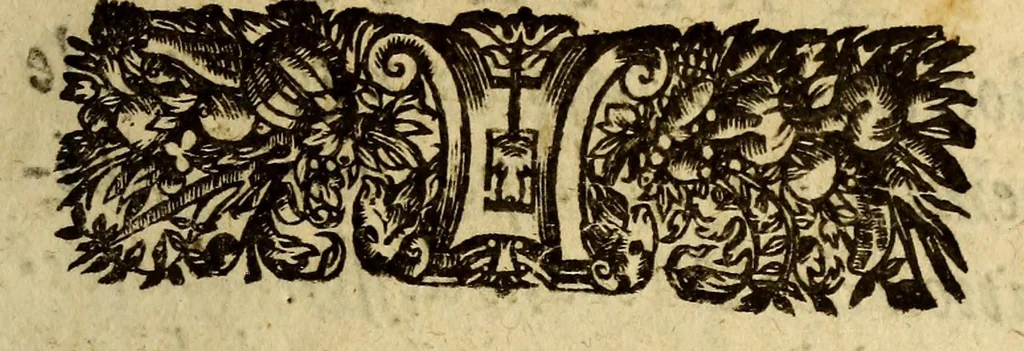 An illustration from Voyages et descouuertures faites en la Nouuelle France, depuis l'année 1615. iusques à la fin de l'année 1618., 1627, leaf 21