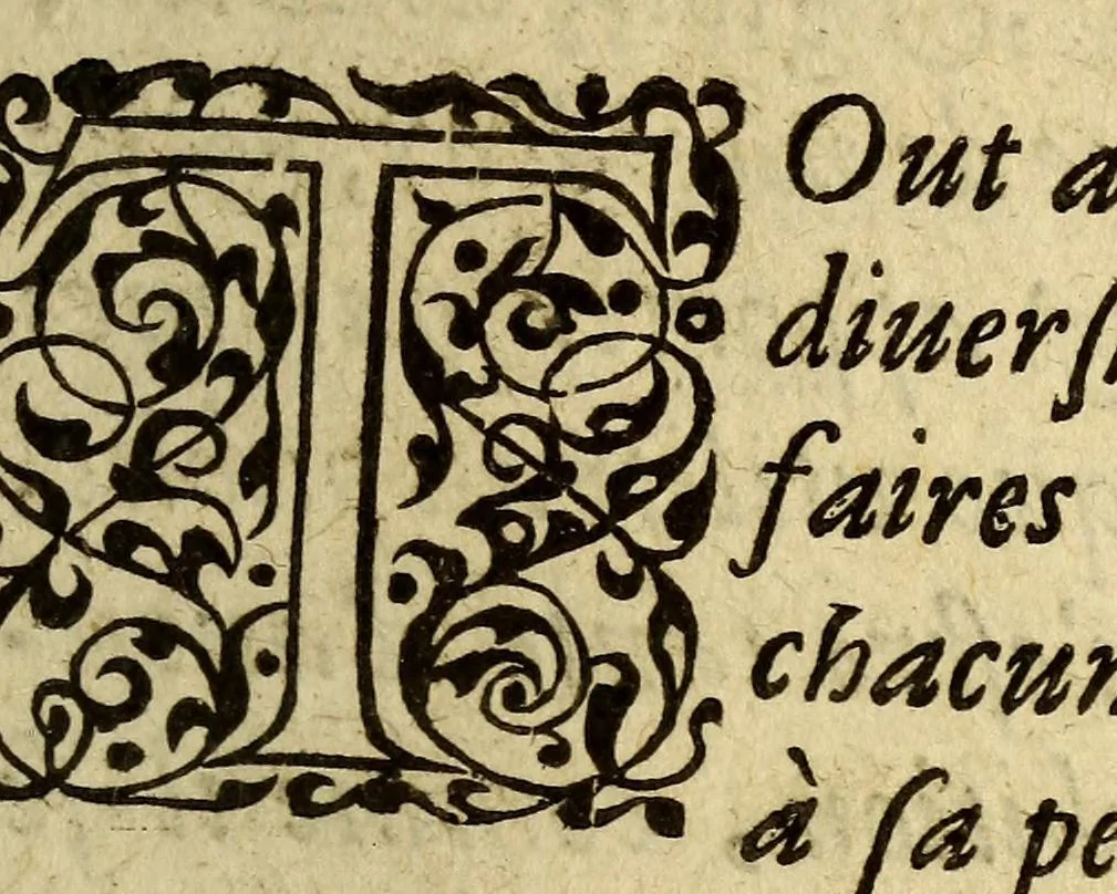 An illustration from Voyages et descouuertures faites en la Nouuelle France, depuis l'année 1615. iusques à la fin de l'année 1618., 1627, leaf 21