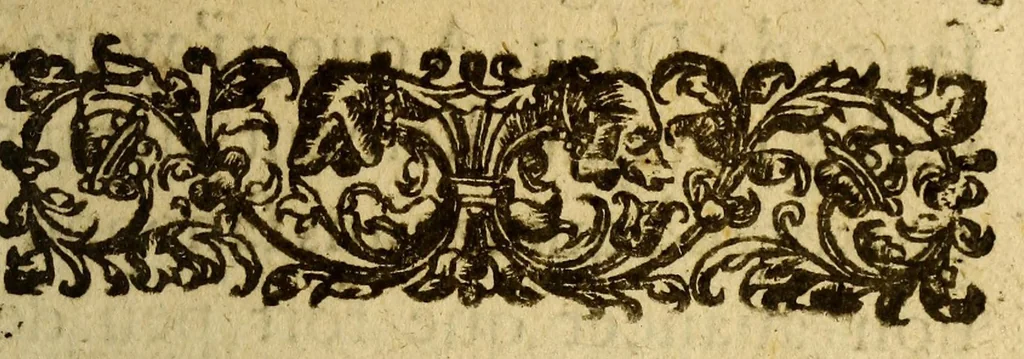 An illustration from Voyages et descouuertures faites en la Nouuelle France, depuis l'année 1615. iusques à la fin de l'année 1618., 1627, leaf 25