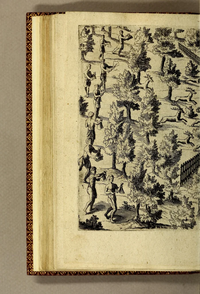An illustration from Voyages et descouuertures faites en la Nouuelle France, depuis l'année 1615. iusques à la fin de l'année 1618., 1619, leaf 132