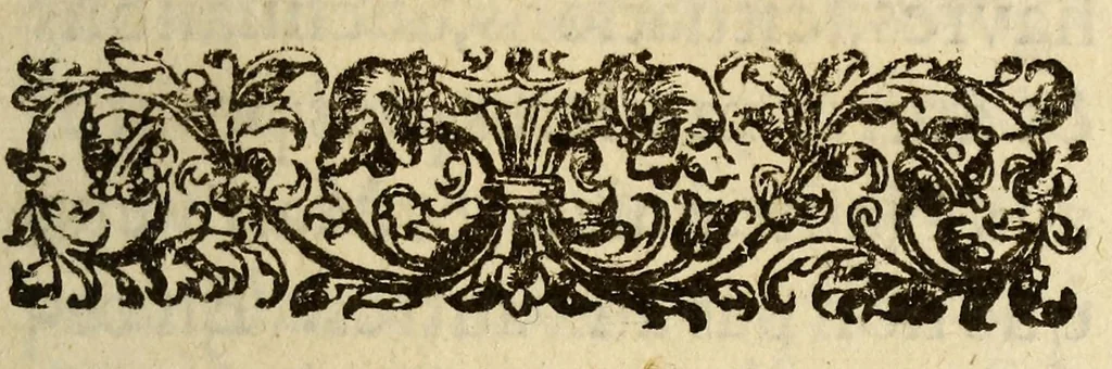 An illustration from Voyages et descouuertures faites en la Nouuelle France, depuis l'année 1615. iusques à la fin de l'année 1618., 1619, leaf 15