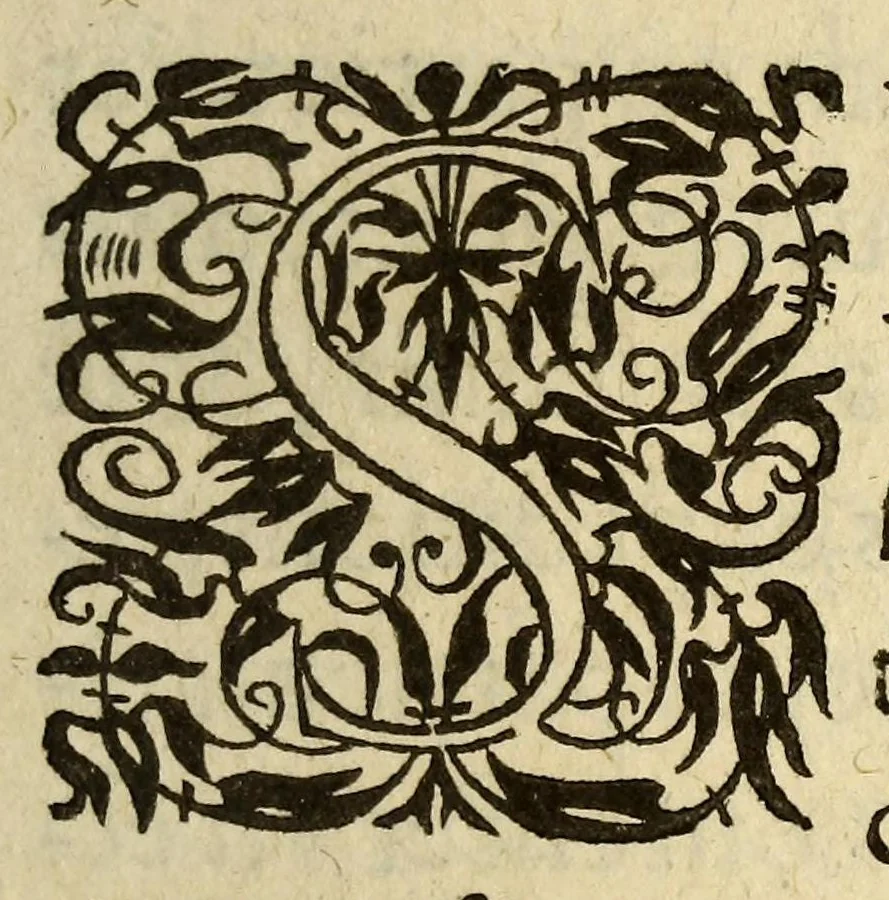 An illustration from Voyages et descouuertures faites en la Nouuelle France, depuis l'année 1615. iusques à la fin de l'année 1618., 1619, leaf 15
