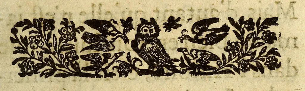 An illustration from Voyages faict par terre depuis Paris jusques a la Chine. Par le Sr. de Feynes ... avec son retour par mer, 1630, leaf 11