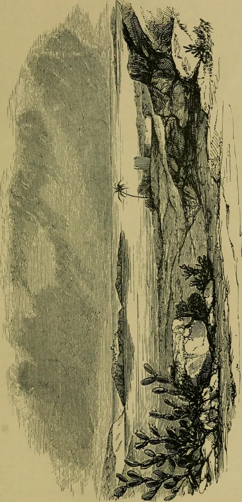 An illustration from The voyage and shipwreck of St. Paul, with dissertations on the life and writings of St. Luke, and the ships and navigation of the ancients, 1880, leaf 198