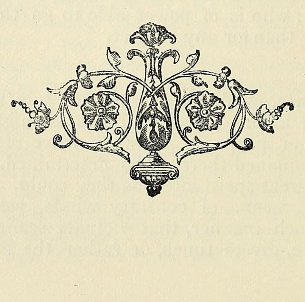 An illustration from Voyages and travels mainly during the 16th and 17th centuries .., 1903, leaf 112
