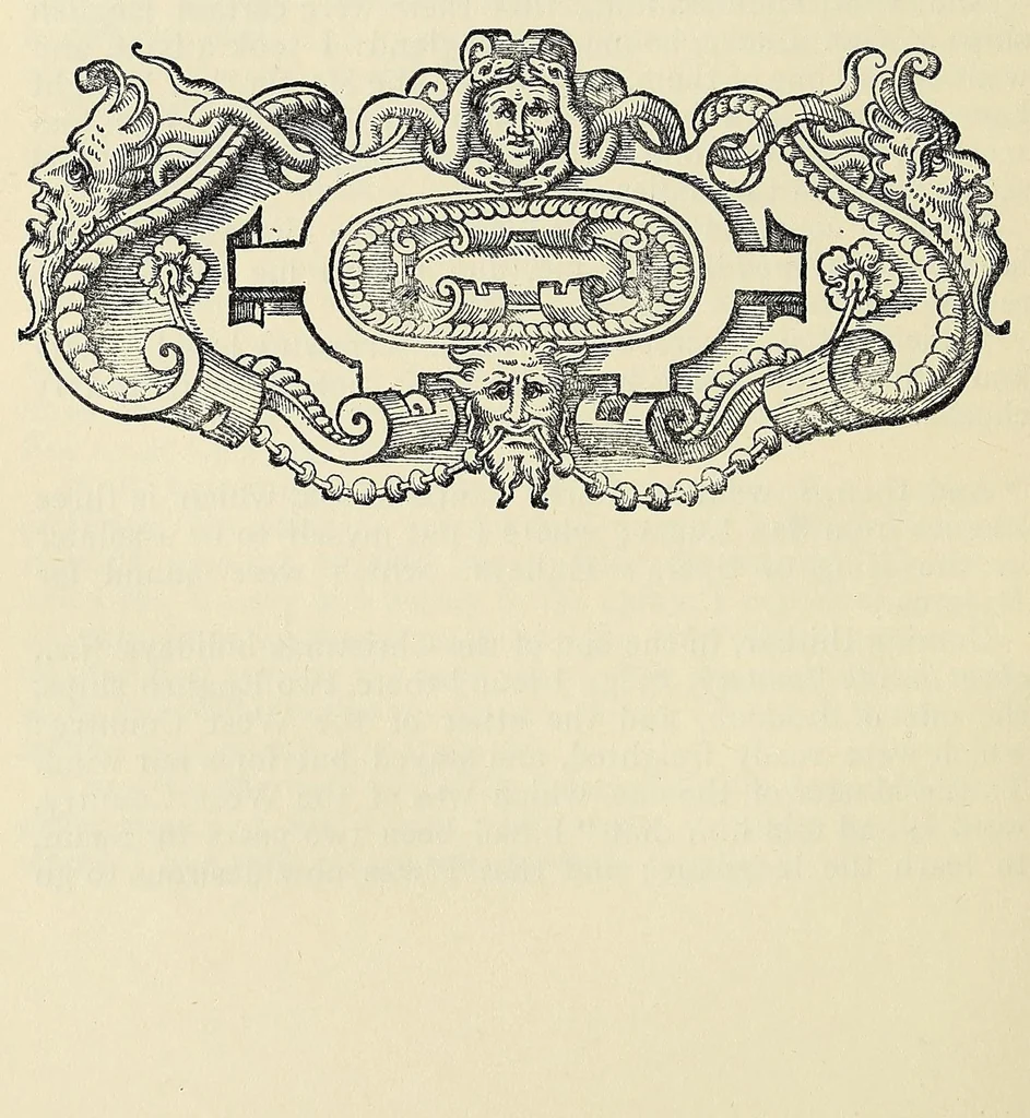 An illustration from Voyages and travels mainly during the 16th and 17th centuries .., 1903, leaf 250