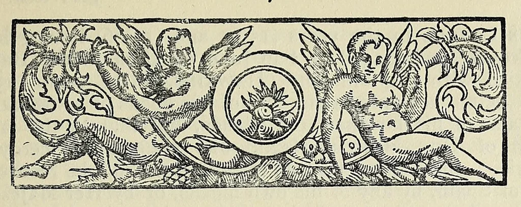 An illustration from Voyages and travels mainly during the 16th and 17th centuries .., 1903, leaf 255