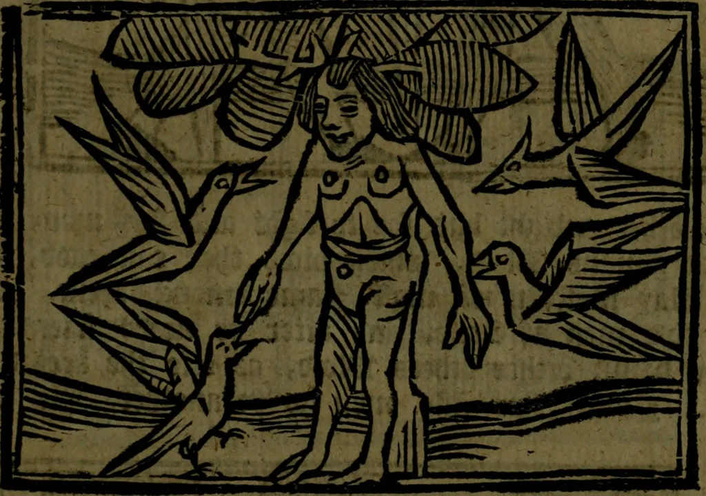 An illustration from The voyages & travels of Sir John Mandevile, Knight, wherein is set down the way to the Holy Land, and to Hierusalem, as also to the lands of the great Caan, and of Prestor John, to Inde, and divers other countries, together with many and strange marvels therein, 1684, leaf 100