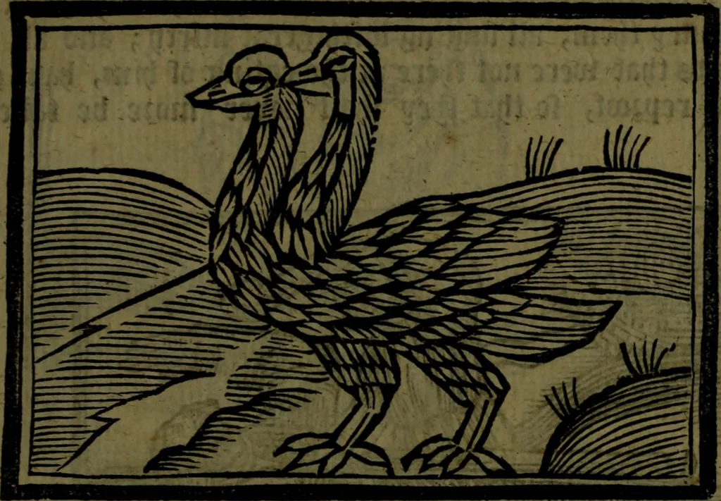 An illustration from The voyages & travels of Sir John Mandevile, Knight, wherein is set down the way to the Holy Land, and to Hierusalem, as also to the lands of the great Caan, and of Prestor John, to Inde, and divers other countries, together with many and strange marvels therein, 1684, leaf 104