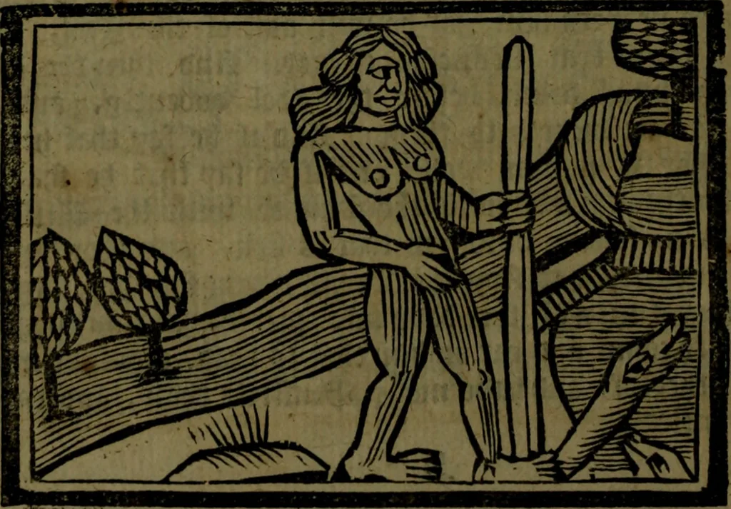 An illustration from The voyages & travels of Sir John Mandevile, Knight, wherein is set down the way to the Holy Land, and to Hierusalem, as also to the lands of the great Caan, and of Prestor John, to Inde, and divers other countries, together with many and strange marvels therein, 1684, leaf 105