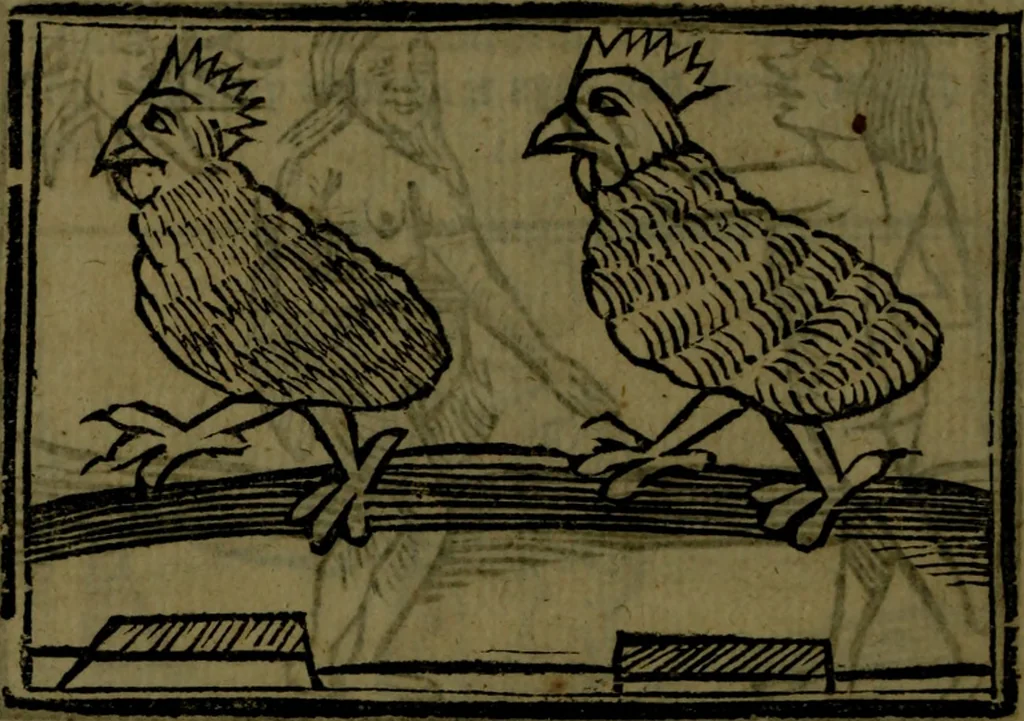 An illustration from The voyages & travels of Sir John Mandevile, Knight, wherein is set down the way to the Holy Land, and to Hierusalem, as also to the lands of the great Caan, and of Prestor John, to Inde, and divers other countries, together with many and strange marvels therein, 1684, leaf 109